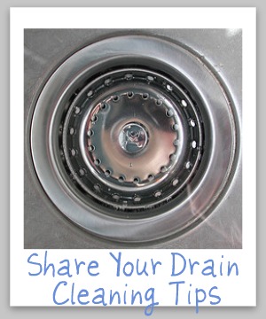 Best Drain Cleaners