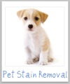 pet stain removal