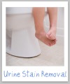 urine stain removal