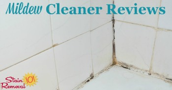 Mildew cleaner reviews