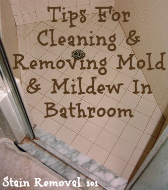 How do you get rid of mold in the bathroom?