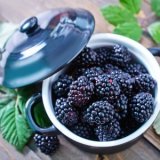 blackberries