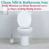 Clean toilet and bathroom drains
