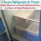 clean refrigerator and freezer