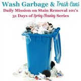 wash garbage and trash cans