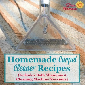 homemade carpet cleaner