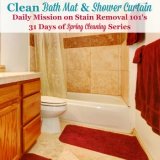 clean bathtub and shower curtains