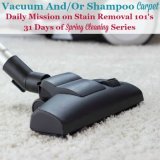 vacuum and/or shampoo carpet