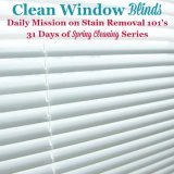 clean window blinds