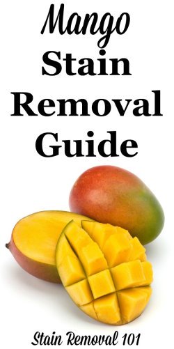 Step by step instructions for mango stain removal from clothing, upholstery and carpet {on Stain Removal 101}