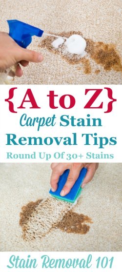 Round up of over 30 articles all about carpet stain removal based on the type of stain, so no matter what spilled on your carpeting you can remove it {on Stain Removal 101} #CarpetStainRemoval #CarpetCleaning #StainRemoval