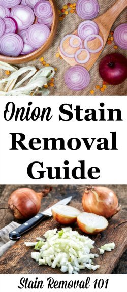 Step by step instructions for onion stain removal from clothing, upholstery and carpet {on Stain Removal 101} #OnionStainRemoval #StainRemoval #StainRemovalGuide