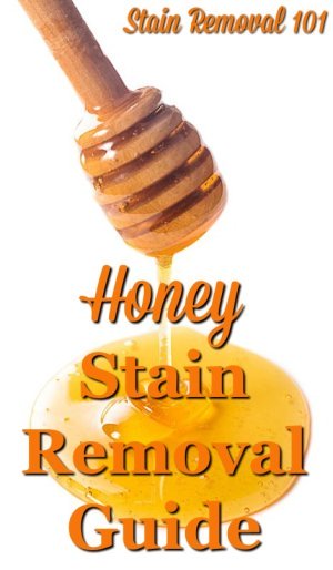 Honey stain removal guide, with step by step instructions, for removing honey stains from clothing, upholstery and carpet {on Stain Removal 101}