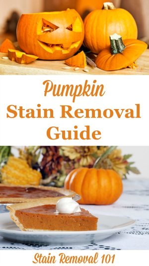 Pumpkin stain removal guide for clothing, upholstery and carpet {on Stain Removal 101}