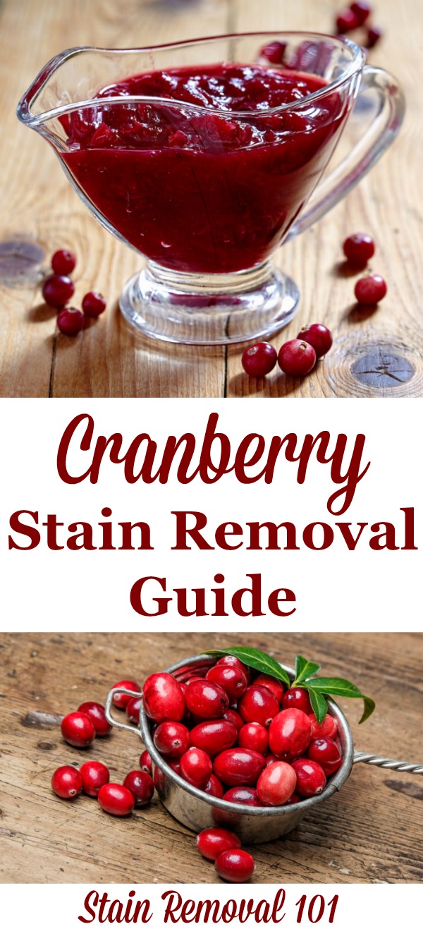 How to remove cranberry stains, such as from cranberry sauce or juice, from clothing, upholstery and carpet - just in time for Thanksgiving! {on Stain Removal 101}