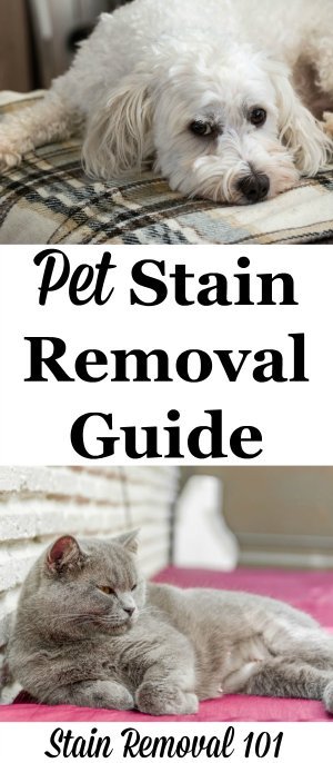 Pet stain removal guide with step by step instructions for clothes, upholstery, and carpet {on Stain Removal 101}