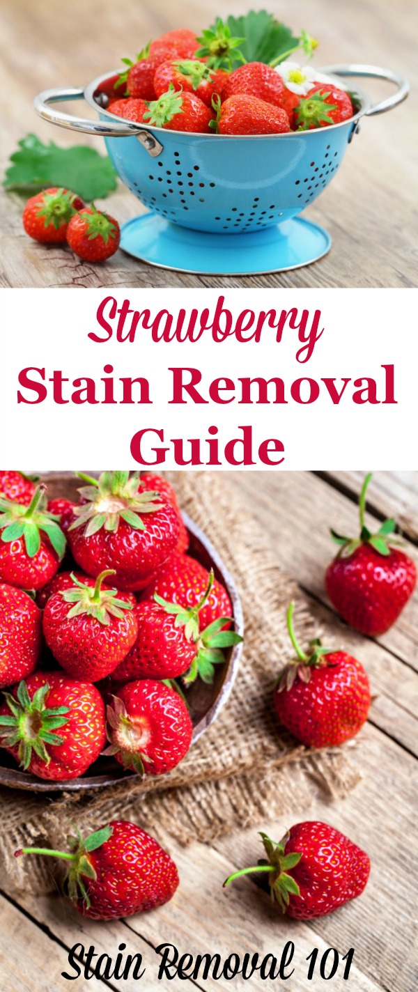 Strawberry stain removal guide for clothing, upholstery and carpet, with step by step instructions {on Stain Removal 101}