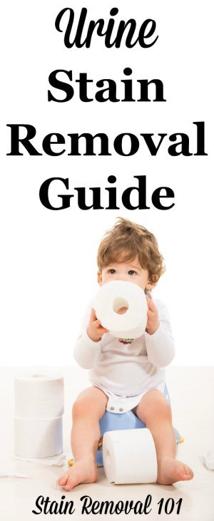 Urine stain removal guide to help you with those little (or big) accidents, with step by step instructions for clothes, upholstery, carpet, and mattresses {on Stain Removal 101}
