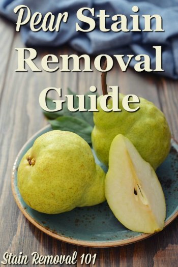 Step by step instructions for pear stain removal from clothing, upholstery and carpet {on Stain Removal 101}