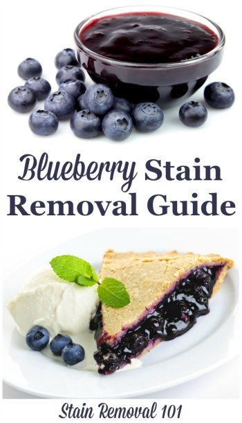 How to remove blueberry stains from clothing, upholstery and carpet, with step by step instructions {on Stain Removal 101}