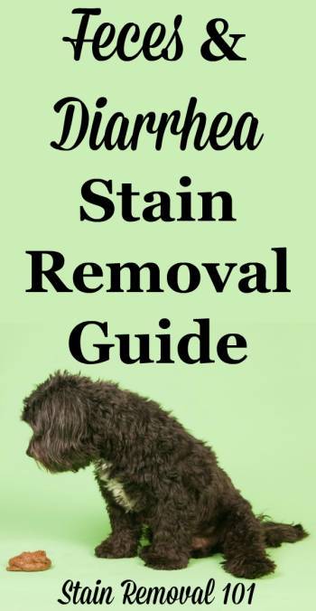 Feces Stain Removal And Diarrhea Stain Removal Guide