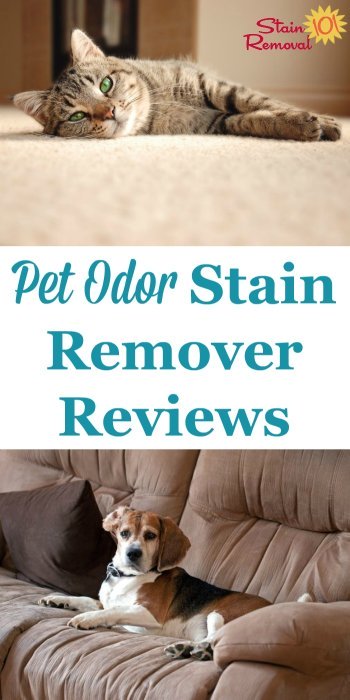 Pet odors seem to linger, so which pet odor stain remover works best to get rid of them? Here is a round up of reviews to find which products work double duty and clean and remove odor {on Stain Removal 101}