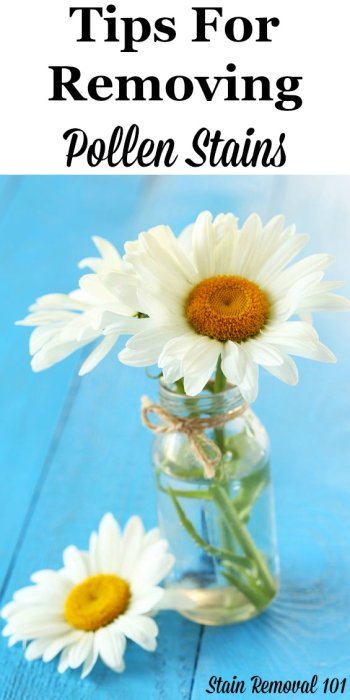 Here is a round up of tips for how to remove pollen stains from many types of items in and around your home, including clothes, carpet, hard surfaces and more {from Stain Removal 101} #StainRemoval #RemoveStains #RemovingStains