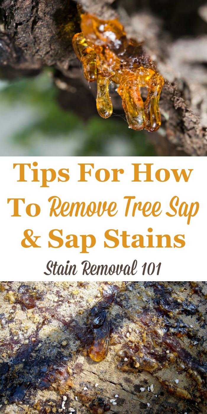 Here is a round up of sap stain removal tips and hints for how to remove tree sap from various surfaces, including from clothing, upholstery, carpet, cars, hands, and more surfaces in and around your home {on Stain Removal 101}