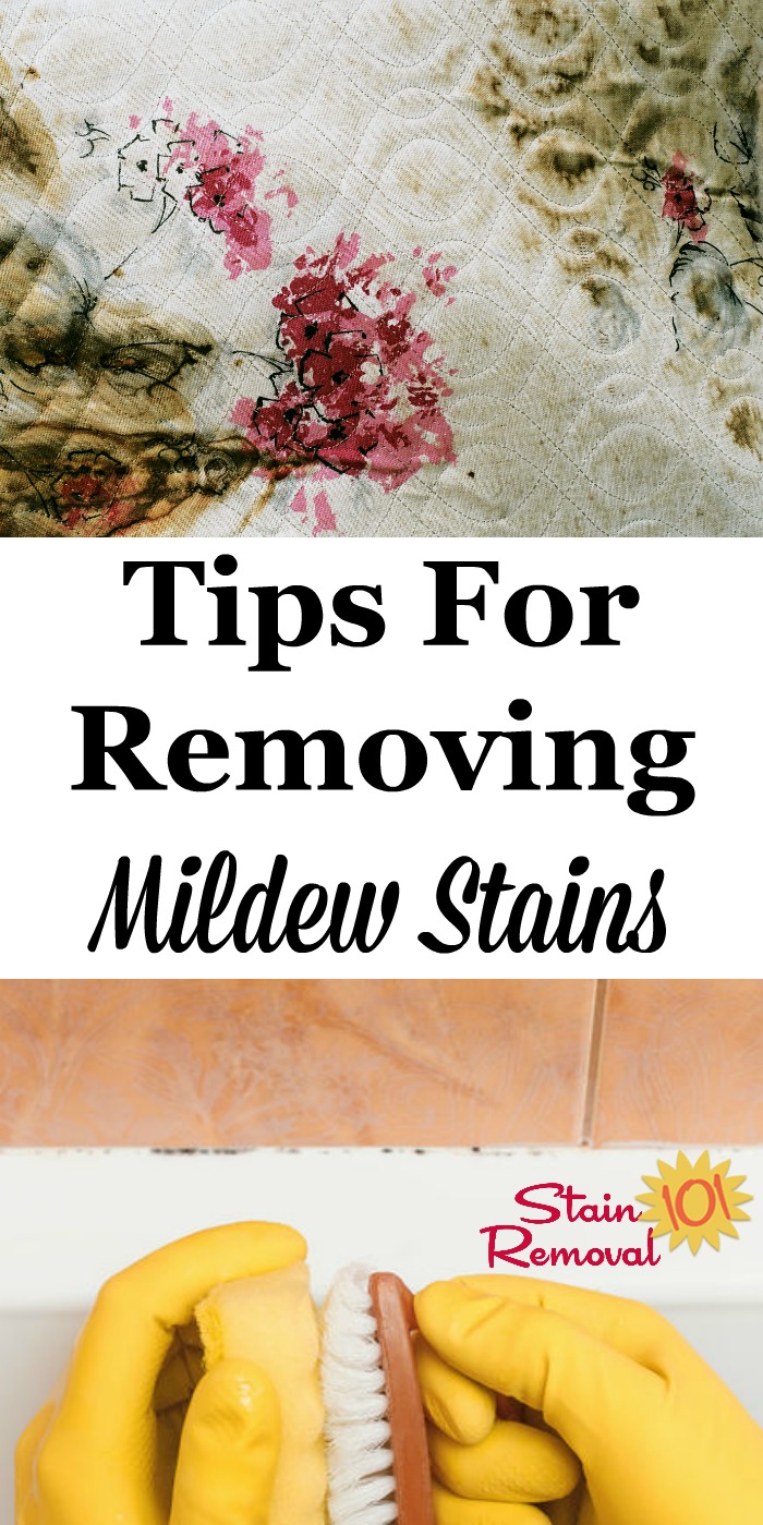 Here is a round up of stain removal mildew tips for fabric, upholstery and carpeting surfaces, and more. Get ideas for how to remove mildew stains and smells, since they often linger {on Stain Removal 101} #StainRemoval #CleaningTips #RemoveStains