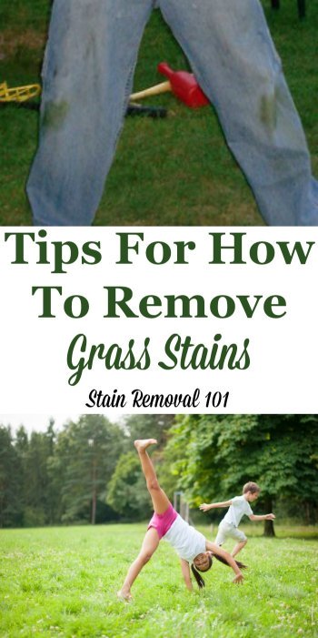 Here is a round up of tips for how to remove grass stains, including DIY methods as well as reviews of how various stain removers work on these tough spots {on Stain Removal 101} #StainRemoval #RemoveStains #RemovingStains