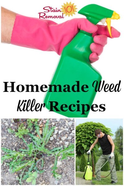 Here is a round up of homemade weed killers for use around your home and garden {on Stain Removal 101} #HomemadeWeedKiller #WeedKillerRecipe #WeedKiller