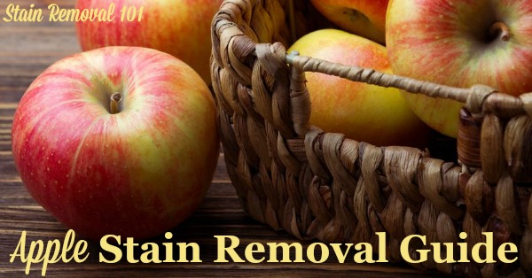 Apple stain removal guide for clothes, upholstery and carpet {on Stain Removal 101}