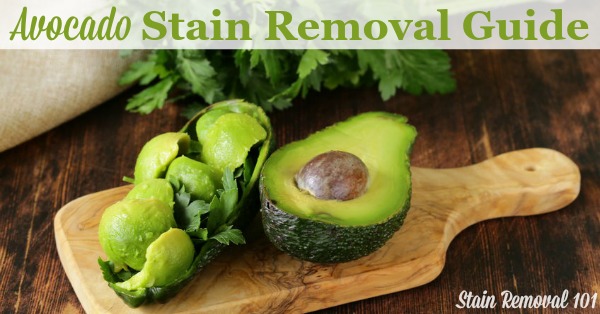 Step by step instructions for avocado stain removal from clothing, upholstery and fabric {on Stain Removal 101}