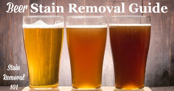How to remove beer stains from clothing, upholstery and carpet, with step by step instructions {on Stain Removal 101}