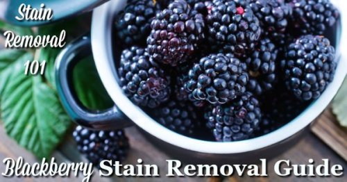 Blackberry stain removal guide for clothing, upholstery and carpet {on Stain Removal 101}