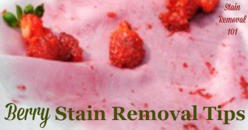Here is a round up of berry stain removal tips, tricks and home remedies which really work to remove these stubborn spots, caused by a multitude of different berries, from all types of surfaces {on Stain Removal 101} #StainRemoval #RemoveStains #RemovingStains