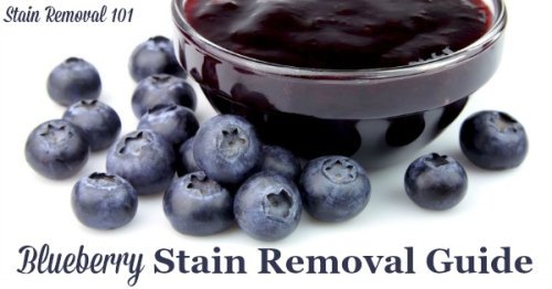 How to remove blueberry stains from clothing, upholstery and carpet, with step by step instructions {on Stain Removal 101}