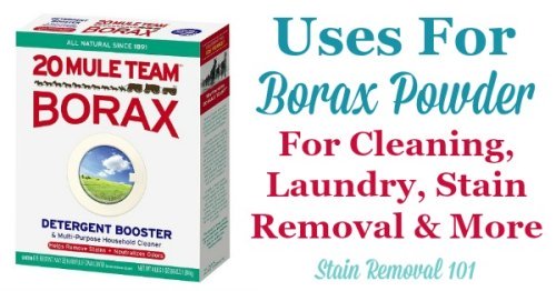Article, plus round up of uses for Borax powder around your home, for cleaning, laundry, stain removal, odor control, as an ingredient in homemade cleaner recipes, and even for pest control {on Stain Removal 101}