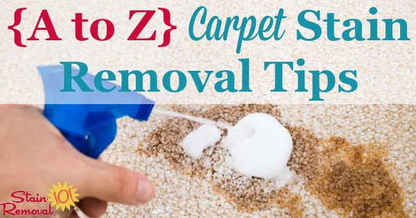 Round up of over 30 articles all about carpet stain removal based on the type of stain, so no matter what spilled on your carpeting you can remove it {on Stain Removal 101}