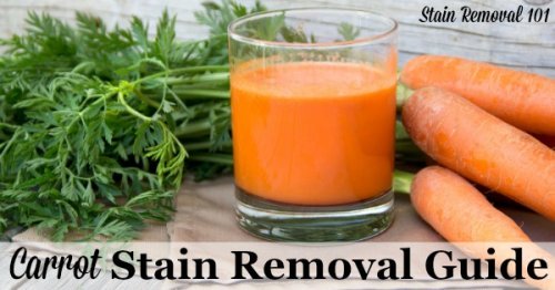 Step by step instructions for how to remove carrot stains from clothing, upholstery and carpet {on Stain Removal 101}