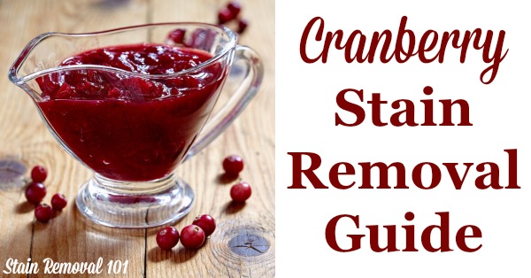 How to remove cranberry stains, such as from cranberry sauce or juice, from clothing, upholstery and carpet - just in time for Thanksgiving! {on Stain Removal 101}