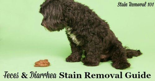 Feces stain removal and diarrhea stain removal guide, for all kinds of yucky accidents on clothing, upholstery and carpet {on Stain Removal 101}