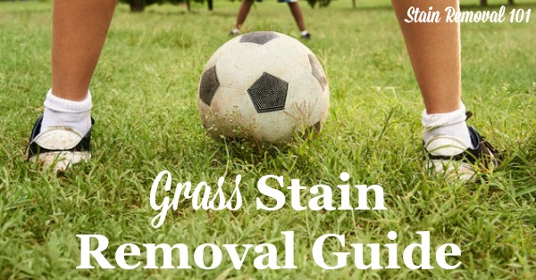 How to remove grass stains from clothing, upholstery and carpet with step by step instructions {on Stain Removal 101}