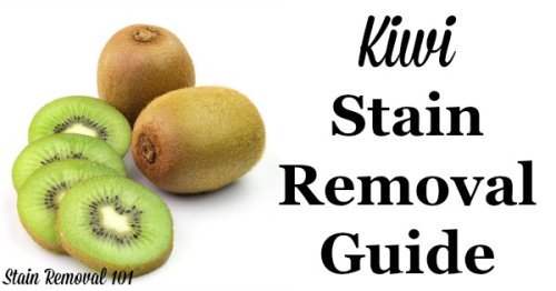 Step by step instructions for kiwi stain removal from clothes, upholstery and carpet {on Stain Removal 101}