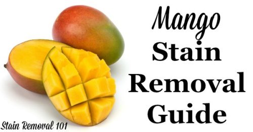 Step by step instructions for mango stain removal from clothing, upholstery and carpet {on Stain Removal 101}