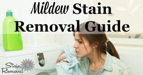 Mildew Stain Removal Guide, How To Remove Mold Stains From Fabric Furniture