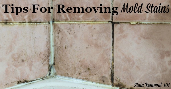 Here is a round up of mold removal stain tips for many types of surfaces around your home, to get rid of these often tough to remove fungal stains {on Stain Removal 101} #StainRemoval #CleaningTips #RemoveStains