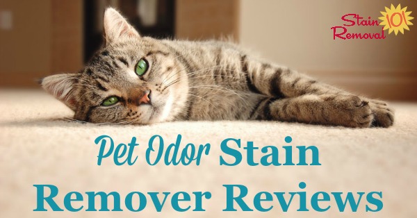 Pet odors seem to linger, so which pet odor stain remover works best to get rid of them? Here is a round up of reviews to find which products work double duty and clean and remove odor {on Stain Removal 101}