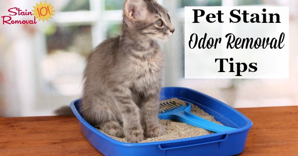 Here is a round up of tips for pet stain odor removal, for removing odors and smells caused by you cats, dogs and other pets from your home, plus a review of some pet odor remover products {on Stain Removal 101} #StainRemoval #OdorRemoval #PetStains