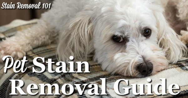 Pet stain removal guide with step by step instructions for clothes, upholstery, and carpet {on Stain Removal 101}